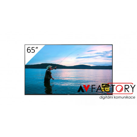 SONY FWD-65X95H/T