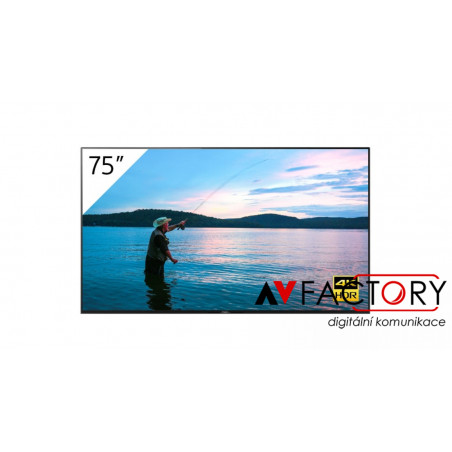 SONY FWD-75X95H/T