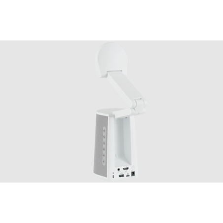 Vizualizer AVer A30