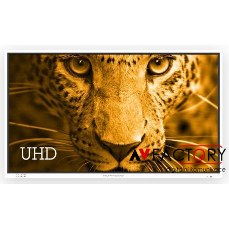 TB 75" Interactive Flat Panel