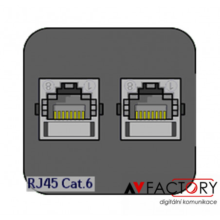 Modul 2x RJ45 Cat.6 (coupler)