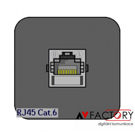 Modul 1x RJ45 Cat.6 (coupler)