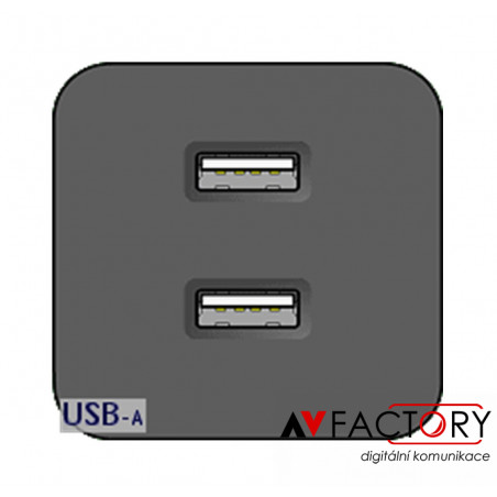 Modul 2x USB